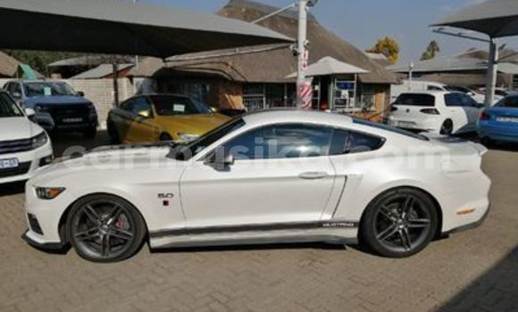 Buy Used Ford Mustang White Car in Beitbridge in Matabeleland South Buy Used Ford Mustang White Car in Beitbridge in Matabeleland South