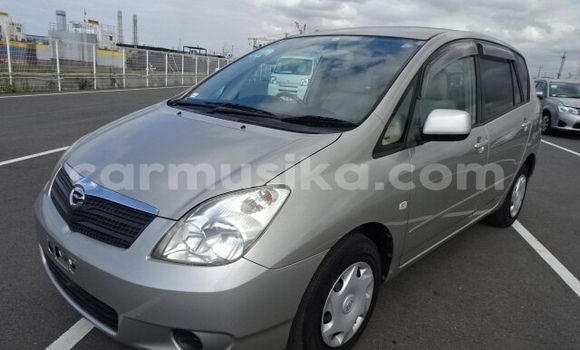 Acheter Occasion Voiture Toyota Corolla Spacio Gris à Beitbridge, Matabeleland South