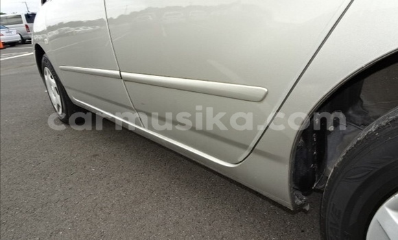 Acheter Occasion Voiture Toyota Corolla Spacio Gris à Beitbridge, Matabeleland South Acheter Occasion Voiture Toyota Corolla Spacio Gris à Beitbridge, Matabeleland South