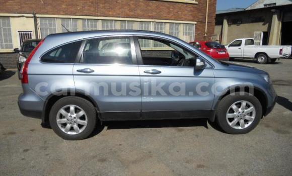 Buy Used Honda CR–V Other Car in Bulawayo in Bulawayo Buy Used Honda CR–V Other Car in Bulawayo in Bulawayo