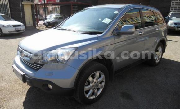 Buy Used Honda CR–V Other Car in Bulawayo in Bulawayo Buy Used Honda CR–V Other Car in Bulawayo in Bulawayo