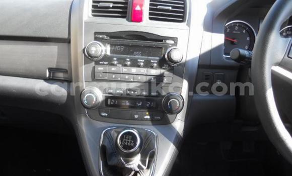 Buy Used Honda CR–V Other Car in Bulawayo in Bulawayo Buy Used Honda CR–V Other Car in Bulawayo in Bulawayo