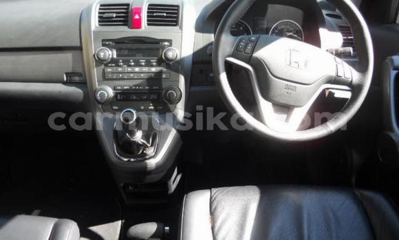 Buy Used Honda CR–V Other Car in Bulawayo in Bulawayo Buy Used Honda CR–V Other Car in Bulawayo in Bulawayo