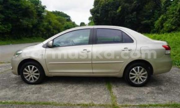 Tenga Tsaru Toyota Vios Beige Mota in Beitbridge in Matabeleland South Tenga Tsaru Toyota Vios Beige Mota in Beitbridge in Matabeleland South