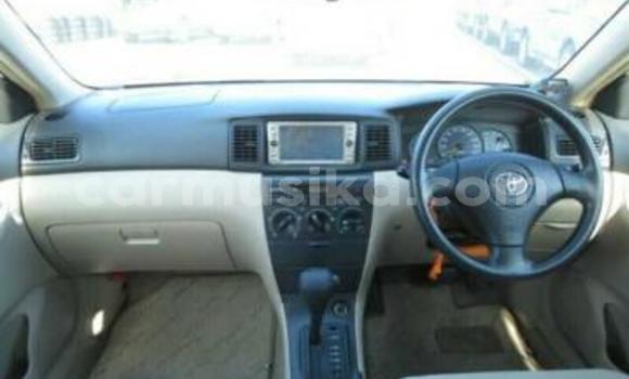 Tenga Tsaru Toyota Runx Chena Mota in Beitbridge in Matabeleland South Tenga Tsaru Toyota Runx Chena Mota in Beitbridge in Matabeleland South