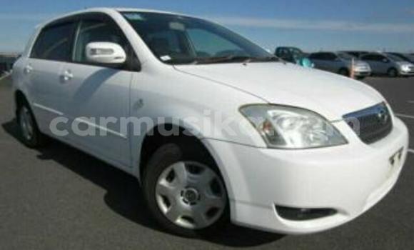 Tenga Tsaru Toyota Runx Chena Mota in Beitbridge in Matabeleland South Tenga Tsaru Toyota Runx Chena Mota in Beitbridge in Matabeleland South