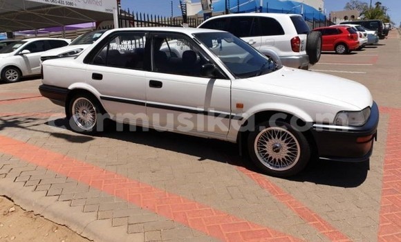 Buy Used Toyota Corolla White Car in Beitbridge in Matabeleland South Buy Used Toyota Corolla White Car in Beitbridge in Matabeleland South
