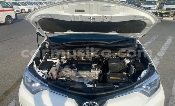 Tenga Tsaru Toyota RAV4 Chena Mota in Beitbridge in Matabeleland South Tenga Tsaru Toyota RAV4 Chena Mota in Beitbridge in Matabeleland South