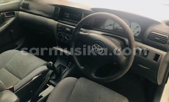 Acheter Occasion Voiture Toyota Corolla Blanc à Beitbridge, Matabeleland South Acheter Occasion Voiture Toyota Corolla Blanc à Beitbridge, Matabeleland South