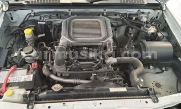 Tenga Tsaru Nissan Hardbody Chena Mota in Beitbridge in Matabeleland South Tenga Tsaru Nissan Hardbody Chena Mota in Beitbridge in Matabeleland South