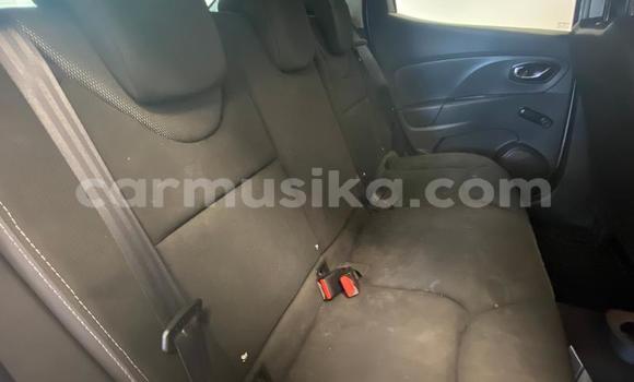 Buy Used Renault Clio Other Car in Beitbridge in Matabeleland South Buy Used Renault Clio Other Car in Beitbridge in Matabeleland South