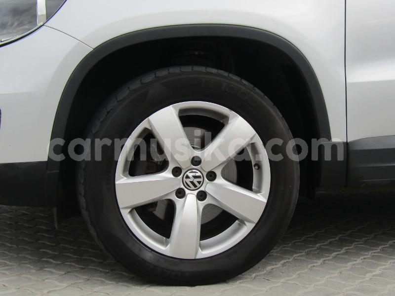 Big with watermark volkswagen tiguan matabeleland south beitbridge 24917