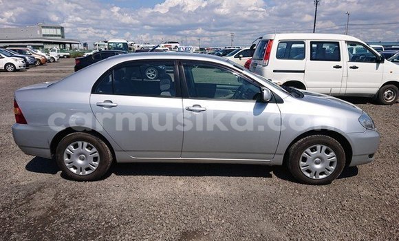 Buy Used Toyota Corolla Silver Car in Beitbridge in Matabeleland South