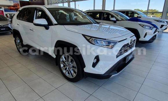 Buy Used Toyota RAV4 White Car in Beitbridge in Matabeleland South Buy Used Toyota RAV4 White Car in Beitbridge in Matabeleland South