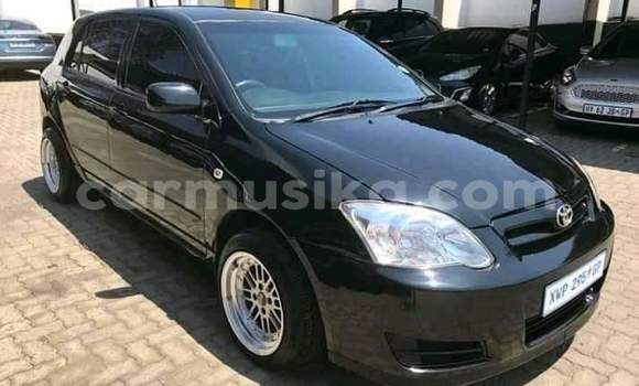 Buy Used Toyota Runx Black Car in Beitbridge in Matabeleland South