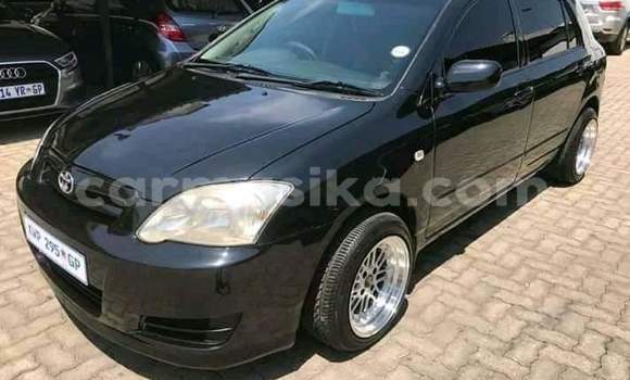 Buy Used Toyota Runx Black Car in Beitbridge in Matabeleland South Buy Used Toyota Runx Black Car in Beitbridge in Matabeleland South