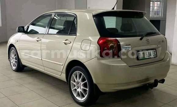 Acheter Occasion Voiture Toyota Runx Gris à Beitbridge, Matabeleland South