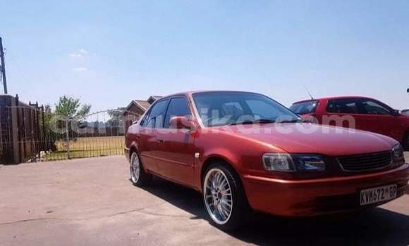 Buy Used Toyota Corolla Red Car in Beitbridge in Matabeleland South