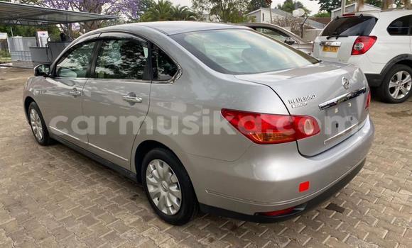 Nunua Imported Nissan Bluebird Sylphy Fedha Gari ndani ya Harare nchini Harare