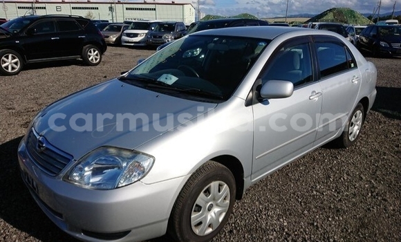 Buy Used Toyota Corolla Silver Car in Beitbridge in Matabeleland South Buy Used Toyota Corolla Silver Car in Beitbridge in Matabeleland South