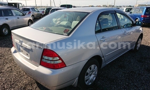 Buy Used Toyota Corolla Silver Car in Beitbridge in Matabeleland South Buy Used Toyota Corolla Silver Car in Beitbridge in Matabeleland South
