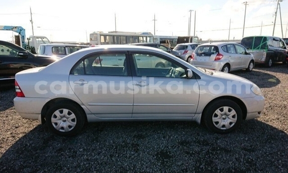 Buy Used Toyota Corolla Silver Car in Beitbridge in Matabeleland South Buy Used Toyota Corolla Silver Car in Beitbridge in Matabeleland South