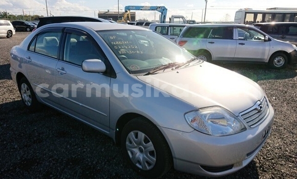 Buy Used Toyota Corolla Silver Car in Beitbridge in Matabeleland South Buy Used Toyota Corolla Silver Car in Beitbridge in Matabeleland South