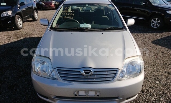 Buy Used Toyota Corolla Silver Car in Beitbridge in Matabeleland South Buy Used Toyota Corolla Silver Car in Beitbridge in Matabeleland South