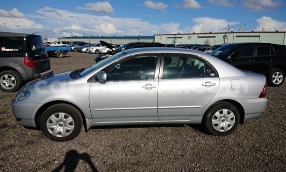 Buy Used Toyota Corolla Silver Car in Beitbridge in Matabeleland South Buy Used Toyota Corolla Silver Car in Beitbridge in Matabeleland South