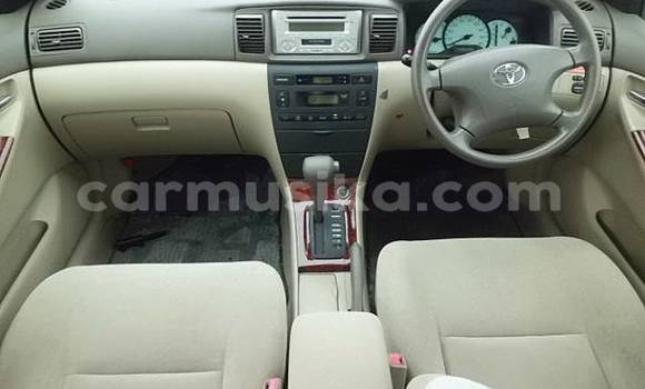 Acheter Occasion Voiture Toyota Corolla Autre à Beitbridge, Matabeleland South Acheter Occasion Voiture Toyota Corolla Autre à Beitbridge, Matabeleland South