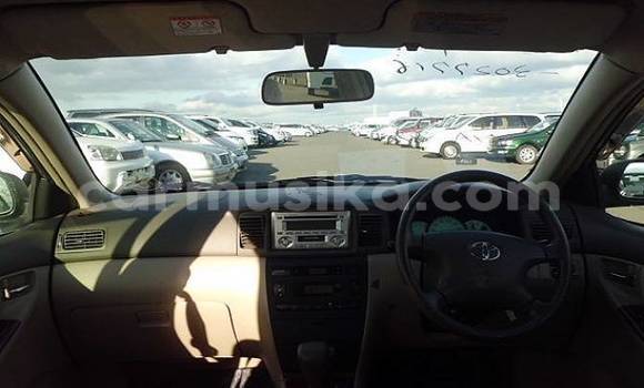 Acheter Occasion Voiture Toyota Corolla Autre à Beitbridge, Matabeleland South Acheter Occasion Voiture Toyota Corolla Autre à Beitbridge, Matabeleland South