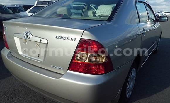 Acheter Occasion Voiture Toyota Corolla Autre à Beitbridge, Matabeleland South Acheter Occasion Voiture Toyota Corolla Autre à Beitbridge, Matabeleland South