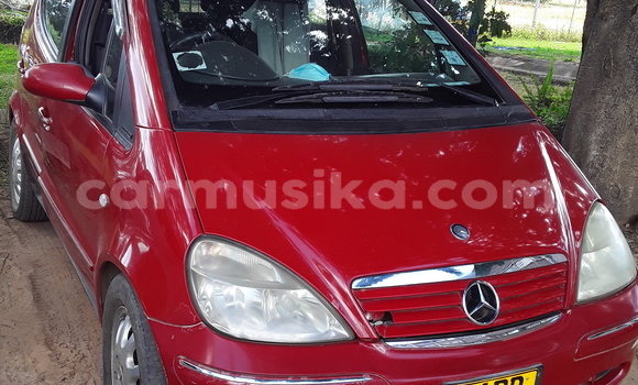 Buy Used Mercedes-Benz A200 Red Car in Bindura in Mashonaland Central Buy Used Mercedes-Benz A200 Red Car in Bindura in Mashonaland Central
