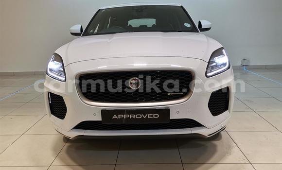 Nunua Ilio tumika Jaguar F-Pace Nyeupe Gari ndani ya Maji ya maji nchini Harare