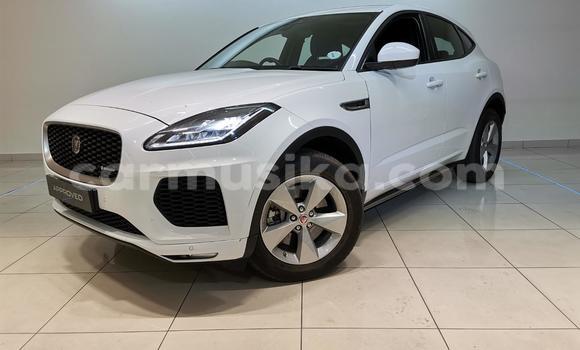 Acheter Occasion Voiture Jaguar F-Pace Blanc à Cascades, Harare Acheter Occasion Voiture Jaguar F-Pace Blanc à Cascades, Harare