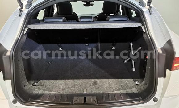 Acheter Occasion Voiture Jaguar F-Pace Blanc à Cascades, Harare Acheter Occasion Voiture Jaguar F-Pace Blanc à Cascades, Harare