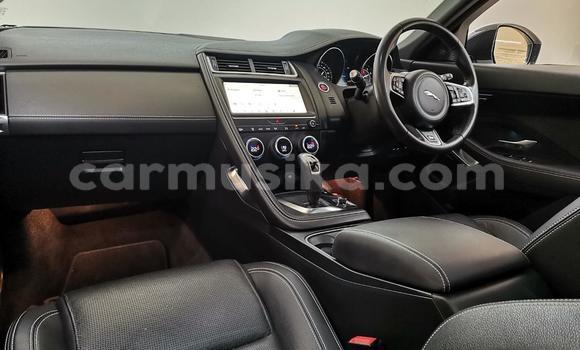 Acheter Occasion Voiture Jaguar F-Pace Blanc à Cascades, Harare Acheter Occasion Voiture Jaguar F-Pace Blanc à Cascades, Harare