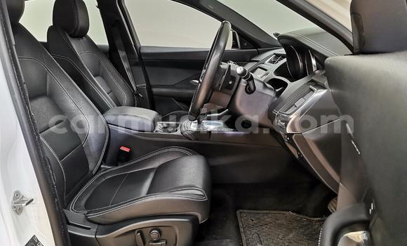 Acheter Occasion Voiture Jaguar F-Pace Blanc à Cascades, Harare Acheter Occasion Voiture Jaguar F-Pace Blanc à Cascades, Harare