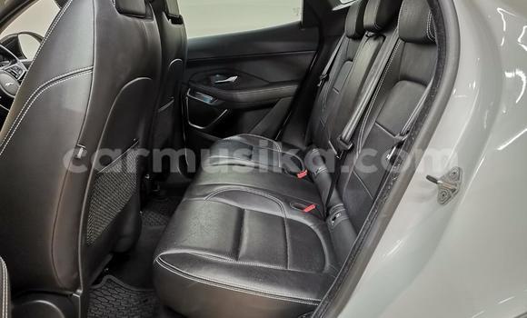 Acheter Occasion Voiture Jaguar F-Pace Blanc à Cascades, Harare Acheter Occasion Voiture Jaguar F-Pace Blanc à Cascades, Harare