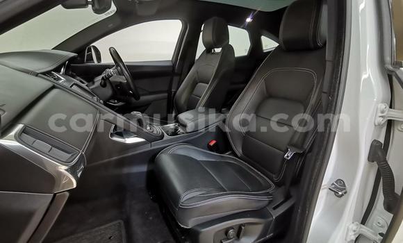 Acheter Occasion Voiture Jaguar F-Pace Blanc à Cascades, Harare Acheter Occasion Voiture Jaguar F-Pace Blanc à Cascades, Harare