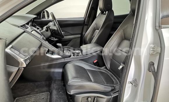 Acheter Occasion Voiture Jaguar F-Pace Blanc à Cascades, Harare Acheter Occasion Voiture Jaguar F-Pace Blanc à Cascades, Harare