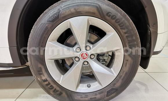 Acheter Occasion Voiture Jaguar F-Pace Blanc à Cascades, Harare Acheter Occasion Voiture Jaguar F-Pace Blanc à Cascades, Harare