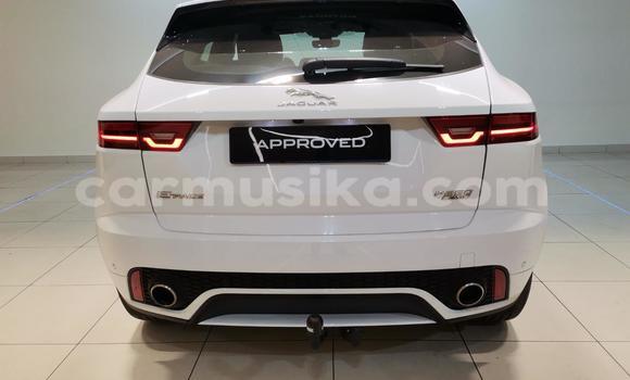 Acheter Occasion Voiture Jaguar F-Pace Blanc à Cascades, Harare Acheter Occasion Voiture Jaguar F-Pace Blanc à Cascades, Harare