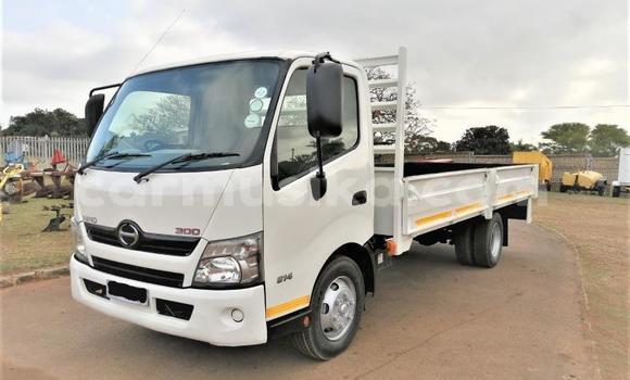 Buy Used Hino 300 Series White Truck in Harare in Harare