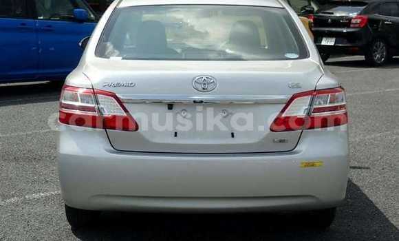 Acheter Occasion Voiture Toyota Premio Gris à Beitbridge, Matabeleland South Acheter Occasion Voiture Toyota Premio Gris à Beitbridge, Matabeleland South