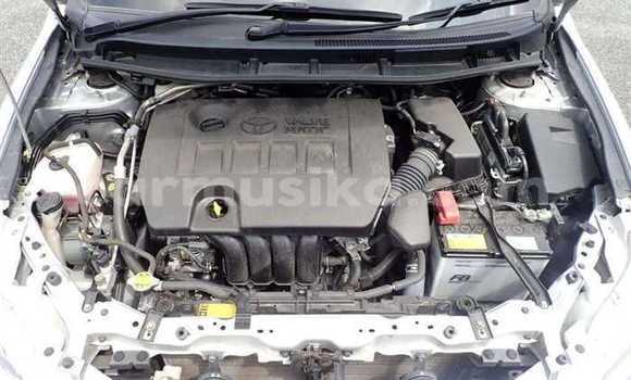 Acheter Occasion Voiture Toyota Premio Gris à Beitbridge, Matabeleland South Acheter Occasion Voiture Toyota Premio Gris à Beitbridge, Matabeleland South