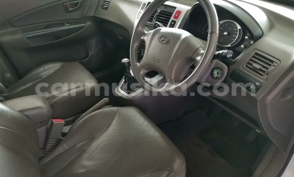 Acheter Occasion Voiture Hyundai Tucson Blanc à Bulawayo, Bulawayo Acheter Occasion Voiture Hyundai Tucson Blanc à Bulawayo, Bulawayo