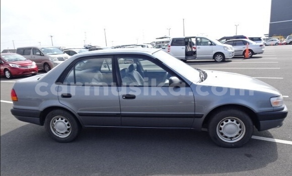 Nunua Ilio tumika Toyota Corolla Fedha Gari ndani ya Beitbridge nchini Matabeleland Kusini Nunua Ilio tumika Toyota Corolla Fedha Gari ndani ya Beitbridge nchini Matabeleland Kusini