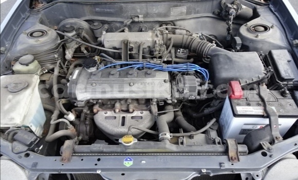 Nunua Ilio tumika Toyota Corolla Fedha Gari ndani ya Beitbridge nchini Matabeleland Kusini Nunua Ilio tumika Toyota Corolla Fedha Gari ndani ya Beitbridge nchini Matabeleland Kusini