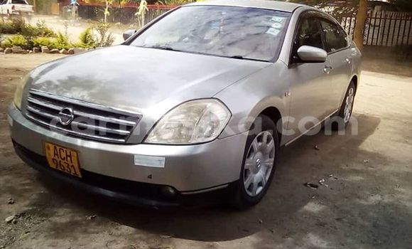 Buy Used Nissan Teana Silver Car in Harare in Harare Buy Used Nissan Teana Silver Car in Harare in Harare